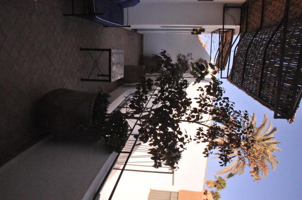 塔鲁丹特Palais Oumensour住宿加早餐旅馆 外观 照片